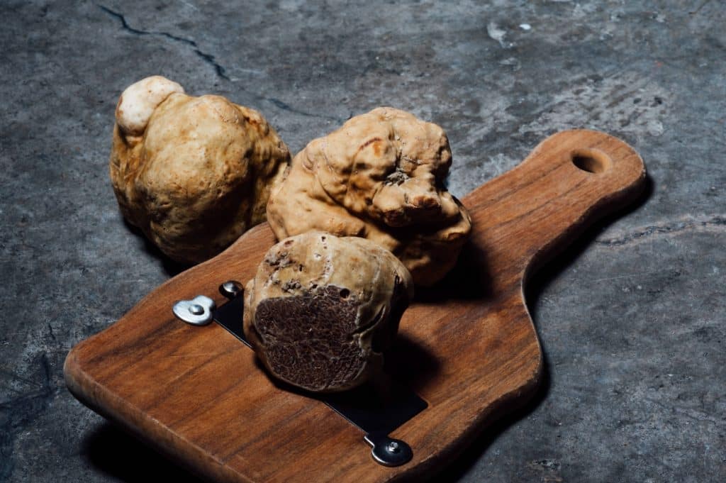 Quelles sont les différentes variétés de truffe ?