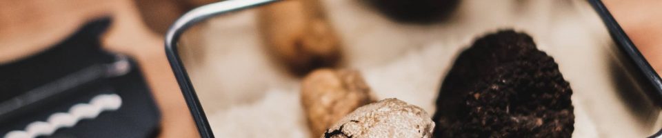 Quelles sont les différentes variétés de truffe ?